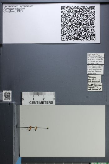 Media type: image;   Entomology 522819
